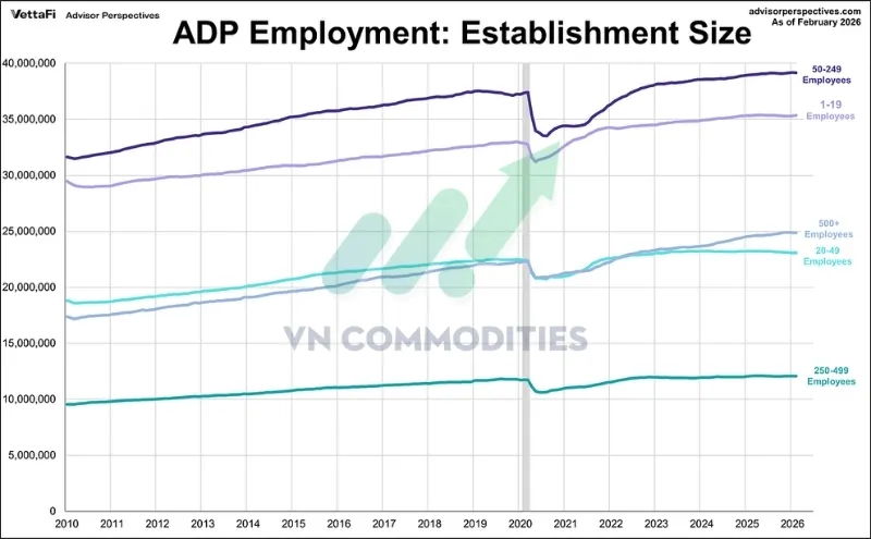 thị trường vĩ m&ocirc;:  ADP theo độ lớn doanh nghiệp